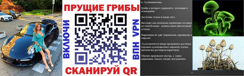 закладки Малгобек Псилоцибиновые грибы прущие грибы